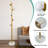 Modern Gold 5-globe Floor Lamp – Stable Base & Glass Shades