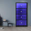 Commode 4 tiroirs prime jardin Adriannah