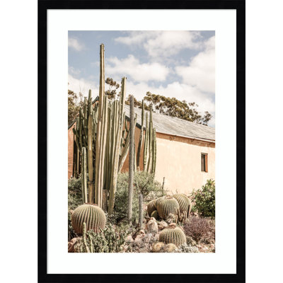 Karoo Garden 02 by Shot by Clint Wood Framed Wall Art Print