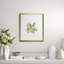 Antique Black Birch Print by Sprague