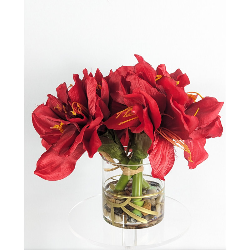 Amaryllis, arrangement floral dans un vase
