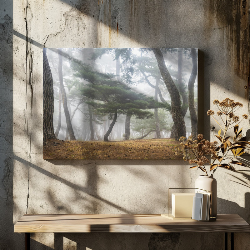 Wrapped Canvas Print, 50.8 cm H x 76.2 cm W