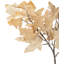 Mulberry Brown Dried Flower Bunch-119034009-119034008