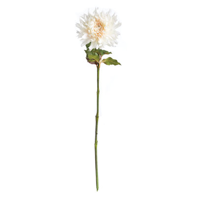 30-Inch Chrysanthemum Stem