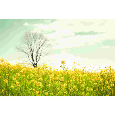 «Yellow Meadow» par Aledanda, peinture