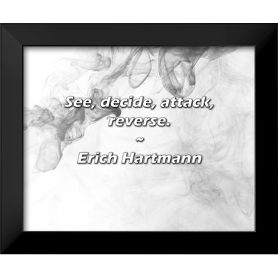 Erich Hartmann Quote: See, decide, attack, reverse.