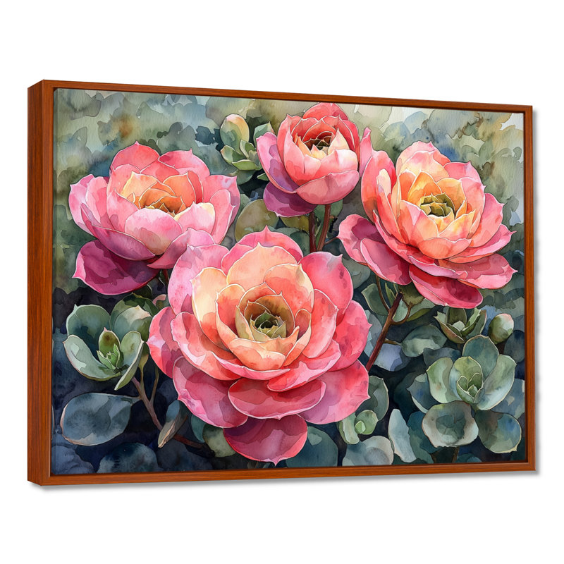 «Echeveria Elegans Succulent Mexico Bloomscape I», reproductions encadrées, H 34 po x l 44 po, Brun