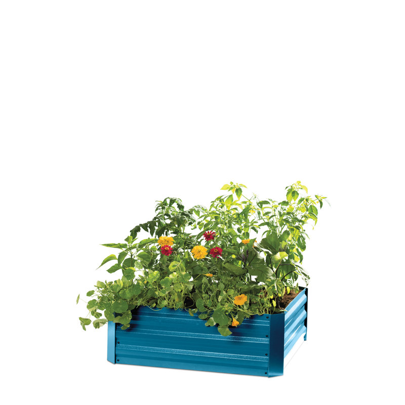 Deep Blue Corrugated Metal Outdoor Raised Garden Bed
