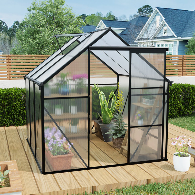 Serre en polycarbonate 6 x 6 pour l'extérieur noir
