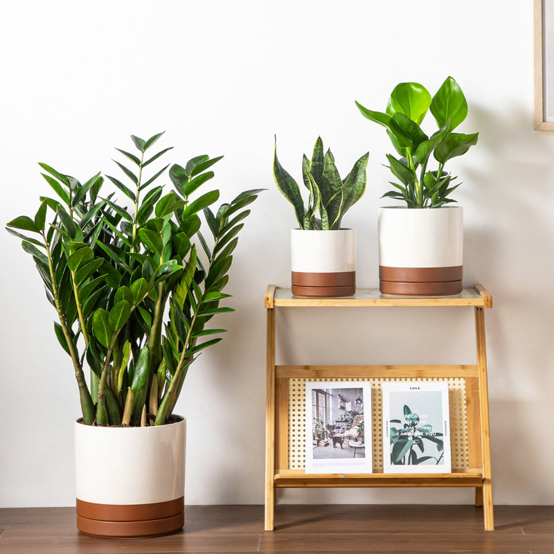 FLHPOT Ceramic Pot Planter, Khaki