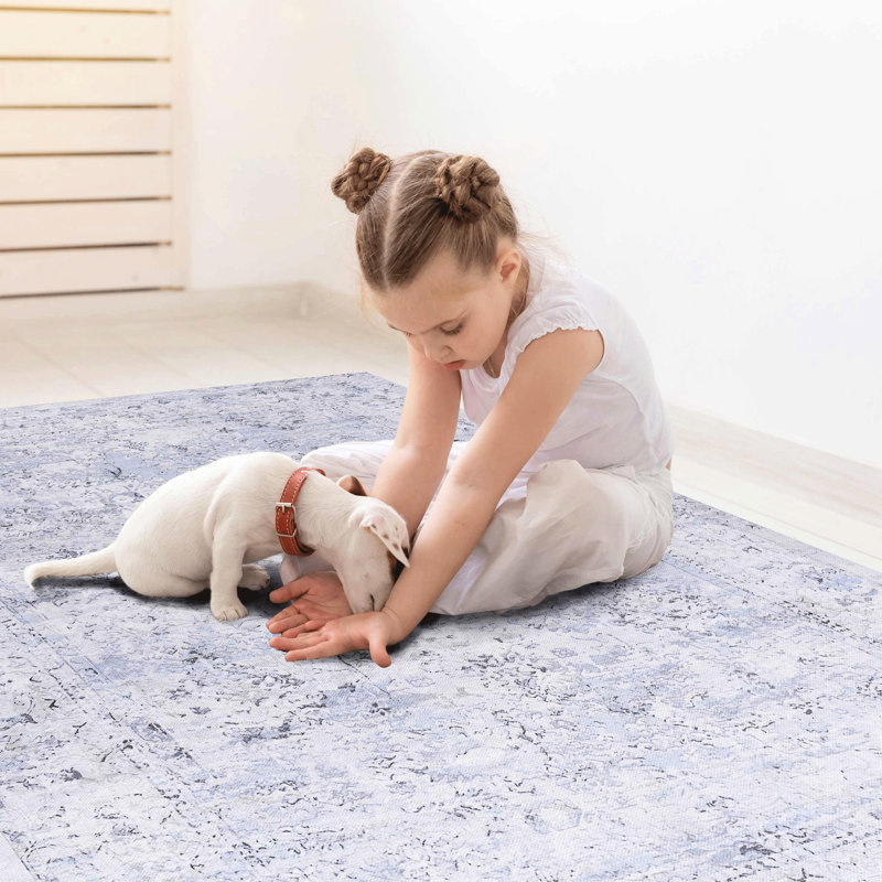 Tapis lavable - antidérapant, antidérapant, pliable, doux, teint, sans danger pour les animaux de compagnie - bleu et crème, 2 pi 6 po x 10 pi, lavable à la machine