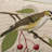 Avian Embroidered Feather Reversible Throw Pillow-100638612-10168127