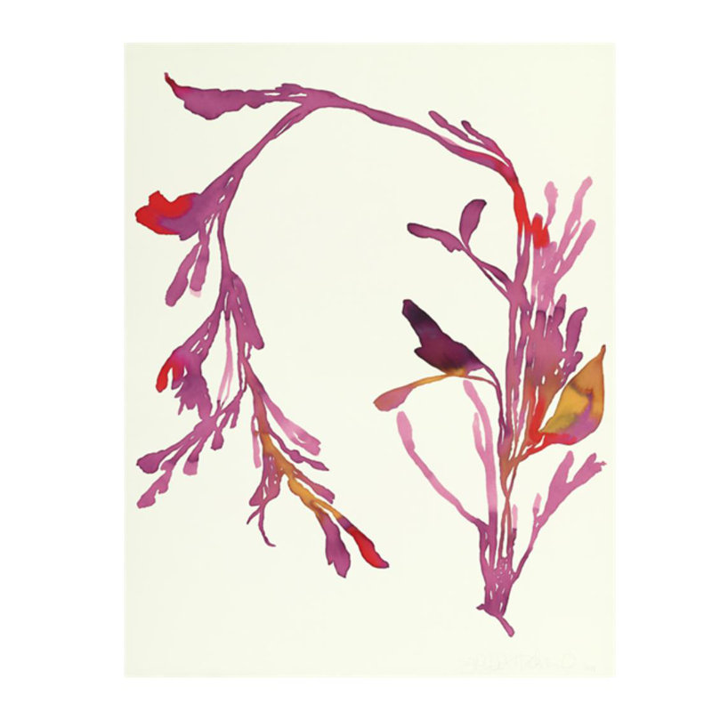 "Plants XIII" par Hable Construction - impression sur toile tendue, Couche de verre