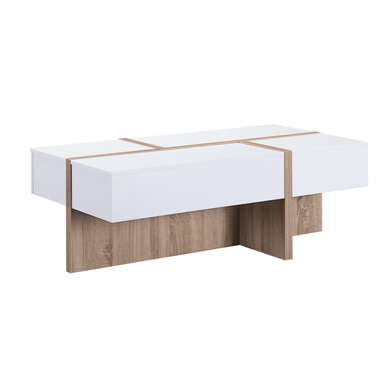 Winon Block Coffee Table with Storage