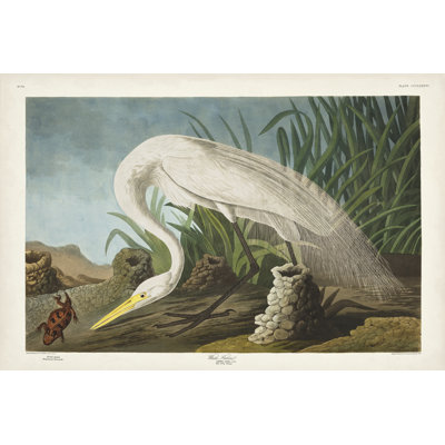 Héron blanc PL 386