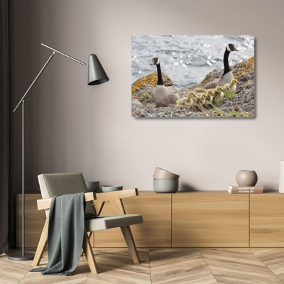 Latitude Run® Paulson, Don Gallery Wrapped Canvas Art Titled: WA, San Juans Canada geese with goslings US48 BJA0482
