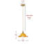 Luminaire suspendu en forme de dôme à 1 lumière E26 en laiton et verre, à hauteur réglable, à intensité variable, homologué ETL-292081286