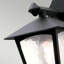 Valentina Black Outdoor Wall Lantern