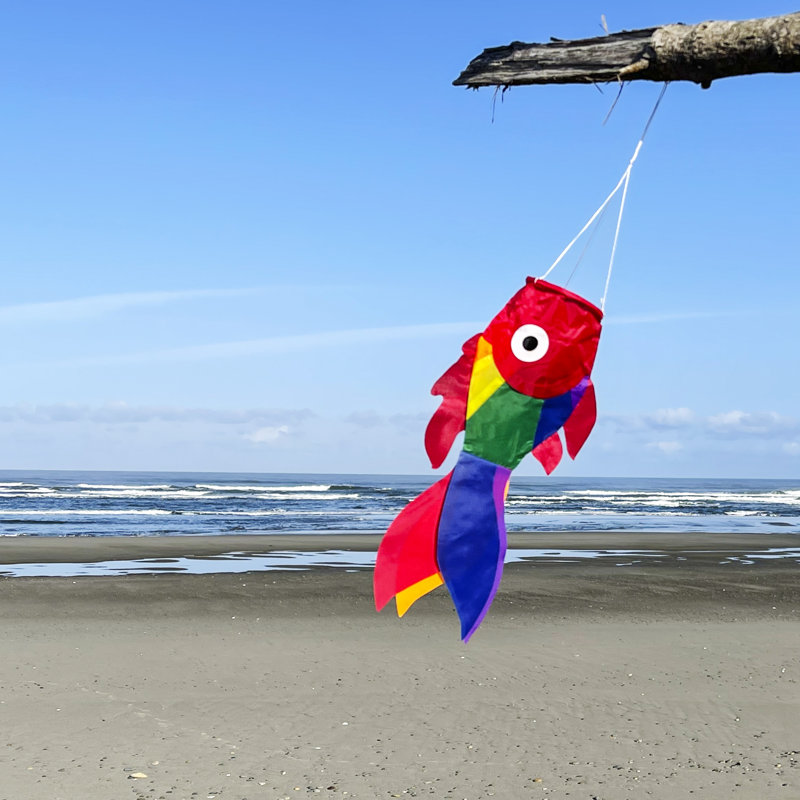 Poisson-fille 15 po Rainbow