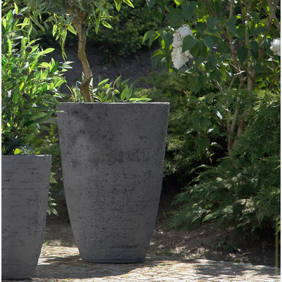 Aarshi Planter