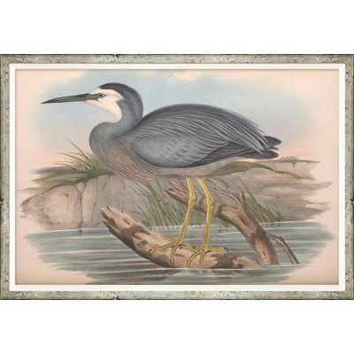 Coastal Birds Giclee Print
