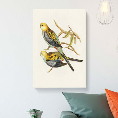 Pale-Headed Parakeets by Elizabeth Gould - Wrapped Canvas