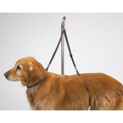 Plastic Adjustable Dog Table Accessory