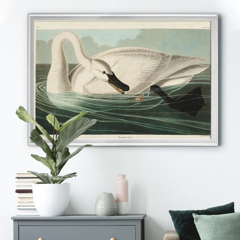 Trumpeter Swan - reproduction d'art sur toile, H 22,5 po x l 30,5 po x P 1,5 po, Argent