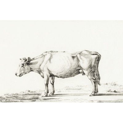 Ashtion Bernard Cow Sketch II by Jean Bernard