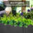 Planter Box-70050532-70050533