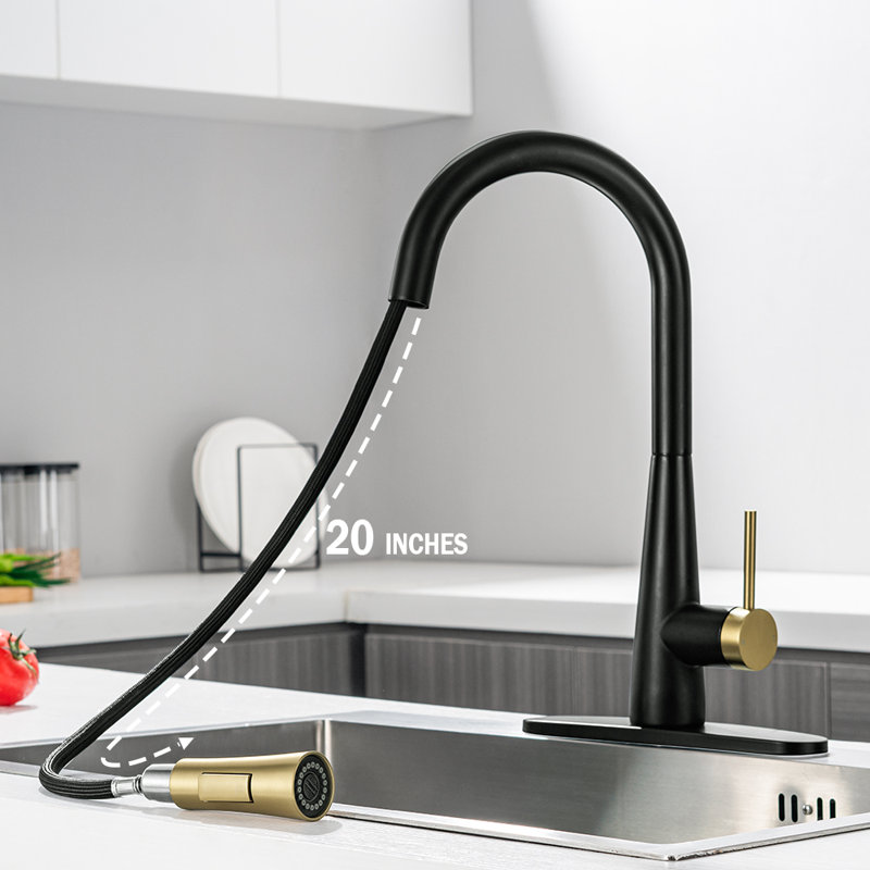 Robinet de cuisine à poignée simple CHLAPRO Tohlar, Noir / doré