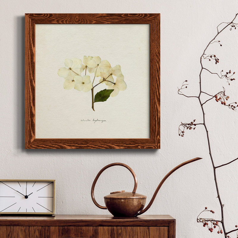 Cornales Hydrangea II - toile encadrée de qualité supérieure - prête à être accrochée, H 35,5 po x l 35,5 po x P 1,5 po