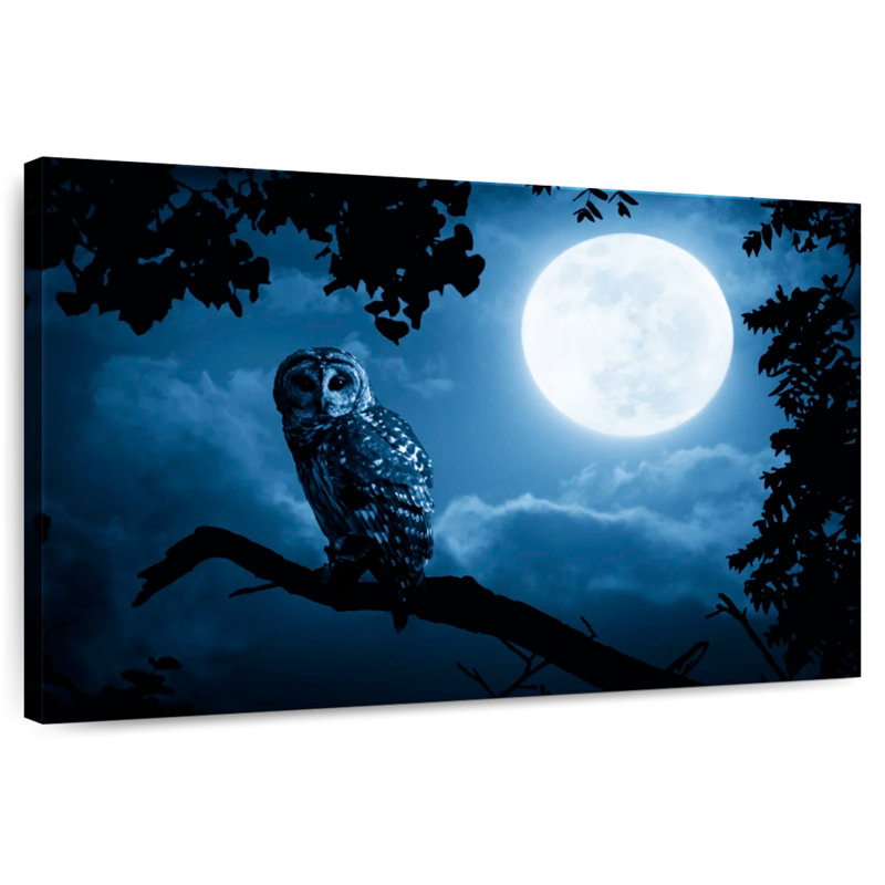 Brampt Watchful Night Owl, 34" H x 51" W