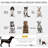 Foldable Pet Trailer