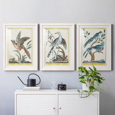 Cadre Pastel Birds IV Premium - prêt à accrocher