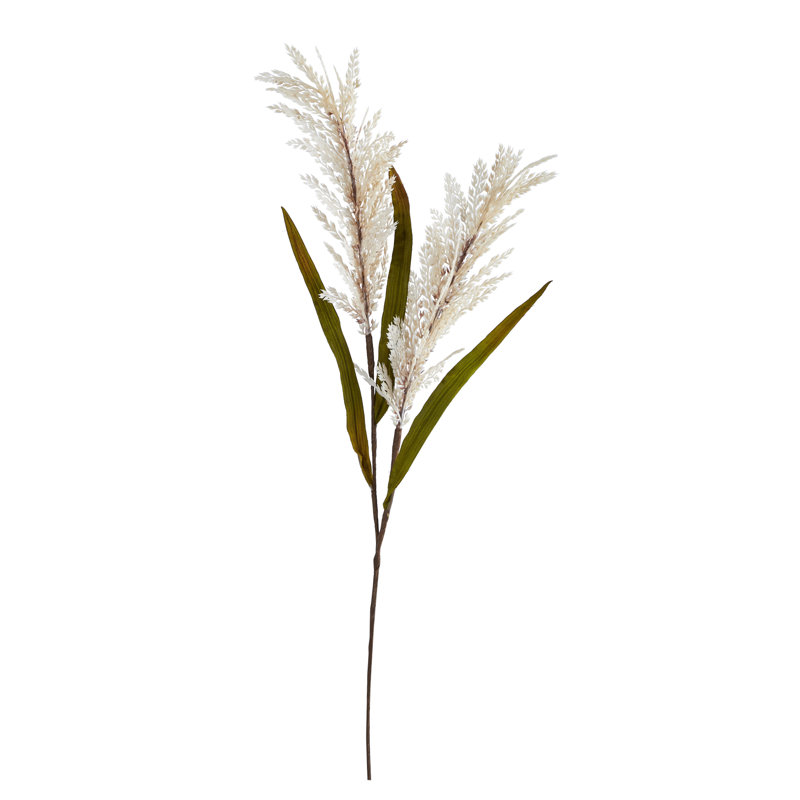 Sorghum Arrangement