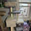 Customer photo 9 of 11