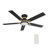 52'' Smart Ceiling Fan With Remote, Light Kit Included, Works With Google Assistant, Amazon Alexa, And Siri Shortcuts.-86626458