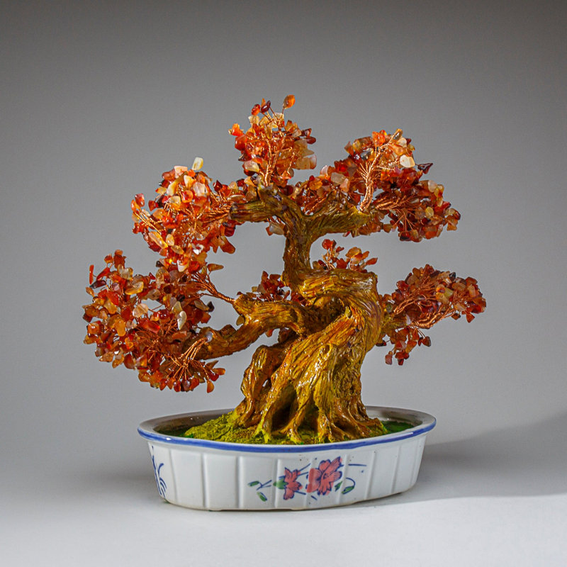 Véritable bonsaï cornaline en pot ovale en céramique (11 po)