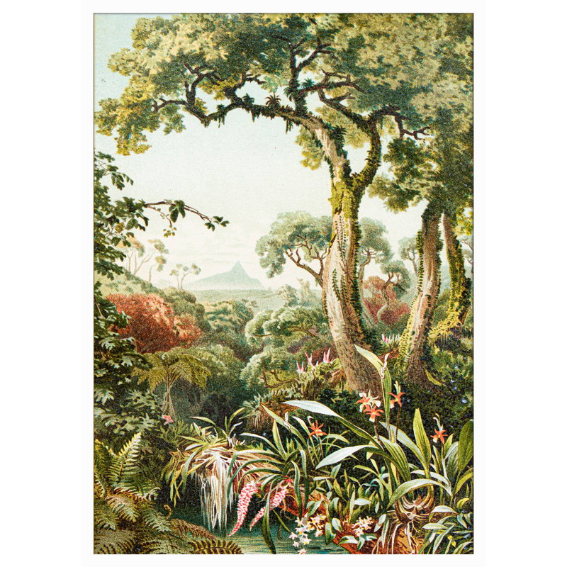 Royal Tropical Forest - Print, 34.1cm H x 46.4cm W x 1cm D, Natural Oak Framed