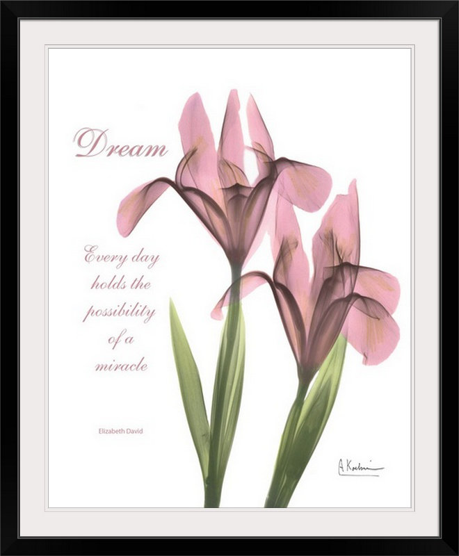 Reproduction de photo de Manigault «Iris Dream X-Ray» par Kiranjit, H 23 po x l 20 po x P 1 po, Cadre noir
