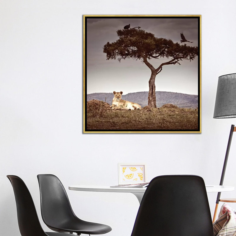 « Observance I » par Klaus Tiedge-reproduction de photo, H 37 po x l 37 po x P 1,5 po, Toile encadrée d'or, Pas de tapis