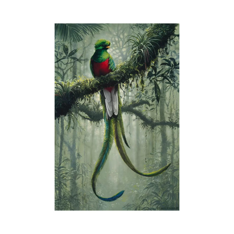 Resplendent Quetzal 2 by Harro Maass - Wrapped Canvas Print, 101.6 cm H x 66.04 cm W x 1.91 cm D