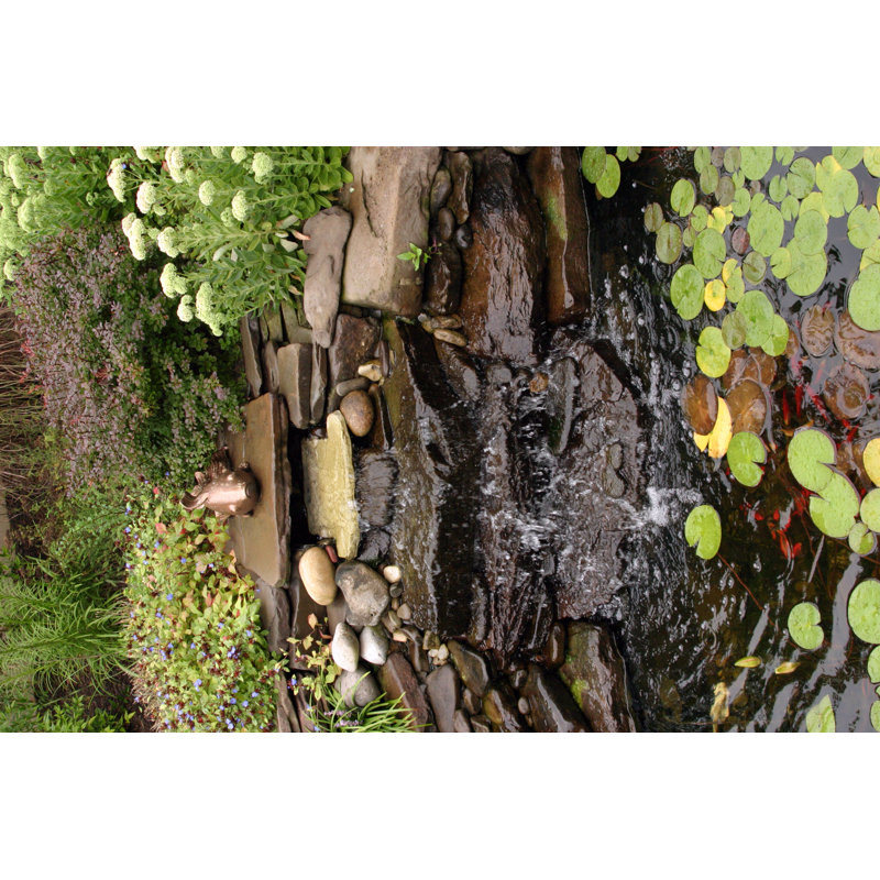 Plant Filled Backyard Garden Pond Oasis - Wrapped Canvas Print, 20cm H x 30cm W x 3.8cm D