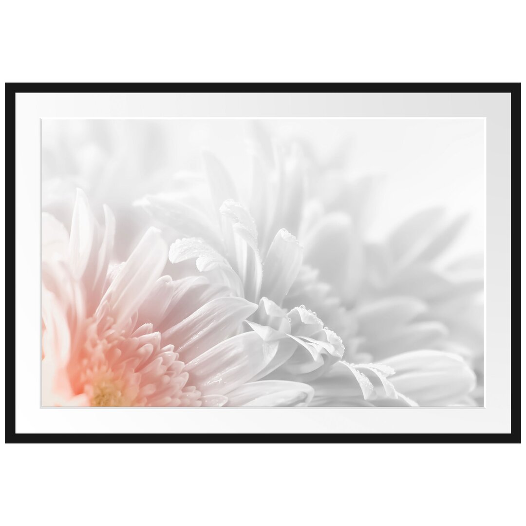 Gerbera Blume Gerahmtes Fotokunst Poster