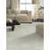 Moonglow Area Rug in Gray