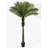 72'' Faux Palm Tree in Pot