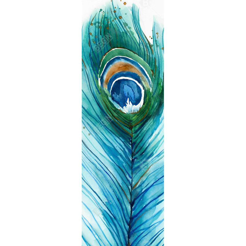 " Long Peacock Feather "