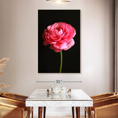 Renoncule rose moelleux Harnek