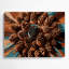 «Southwestern Plants Pinecone 180», art mural en métal brun-585051743